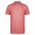 Living Coral